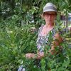 Светлана, 55, г.Шарыпово (Красноярский край) Светлана, 55, г.Шарыпово (Красноярский край)