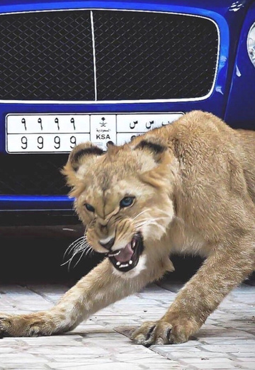 Мага (@maga17229) — моя фотография № 1