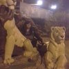 оксана, 38, г.Тура оксана, 38, г.Тура