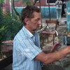 Андрей, 57, г.Волосово Андрей, 57, г.Волосово