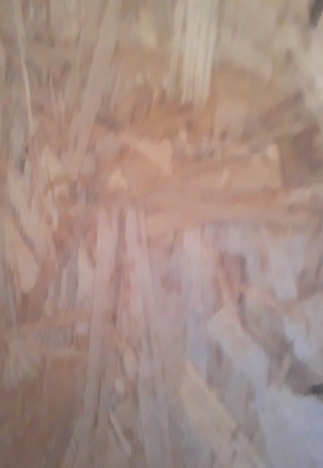 Алишер (@alisher14594) — моя фотография № 1