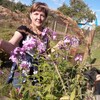 Леля, 50, г.Тверь Леля, 50, г.Тверь