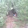 Марина, 35, г.Щучье Марина, 35, г.Щучье