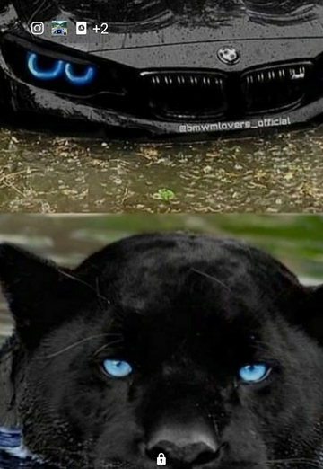 Мага (@maga14123) — моя фотография № 1