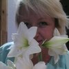 Ольга, 45, г.Белгород Ольга, 45, г.Белгород