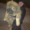 денис, 29, г.Дивеево денис, 29, г.Дивеево