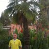 Дима, 36, г.Сосновоборск Дима, 36, г.Сосновоборск