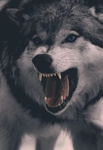 Mahir (@mahir847) — моя фотография № 1