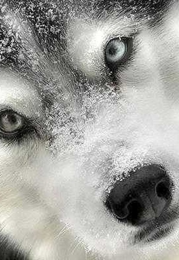 Aleksandre (@aleksandre208) — моя фотография № 1