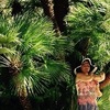 Тамара, 72, г.Обухово Тамара, 72, г.Обухово