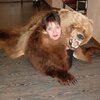 Елена, 43, г.Новосокольники Елена, 43, г.Новосокольники