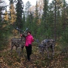 Елена, 50, г.Усинск Елена, 50, г.Усинск