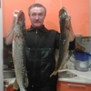 серый, 52, г.Нолинск серый, 52, г.Нолинск