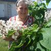 Галина, 64, г.Липецк Галина, 64, г.Липецк