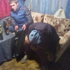 Игорь, 21, г.Мышкин Игорь, 21, г.Мышкин