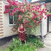 Татьяна, 65, г.Курсавка Татьяна, 65, г.Курсавка