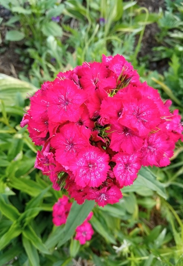 Любовь (@lubov66563) — моя фотография № 1