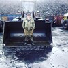 Иван Шалев, 29, г.Кемерово Иван Шалев, 29, г.Кемерово