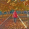 Светлана, 51, г.Кантемировка Светлана, 51, г.Кантемировка