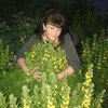 Вероника, 42, г.Дно Вероника, 42, г.Дно