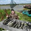 Анатолий, 35, г.Обь Анатолий, 35, г.Обь