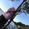 Светлана, 50, г.Волхов Светлана, 50, г.Волхов